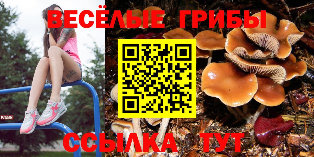 Псилоцибиновые грибы прущие грибы Новодвинск