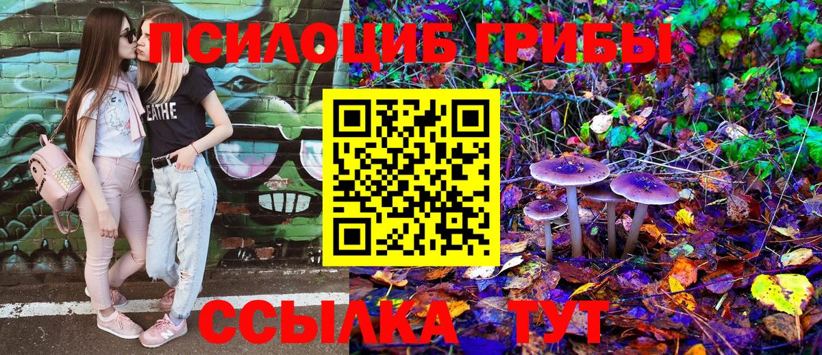 Новодвинск  Псилоцибиновые грибы Psilocybe  Псилоцибиновые грибы Magic Shrooms  Вход с VPN 